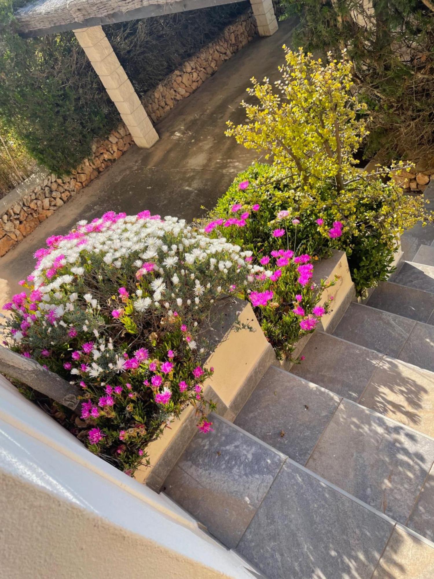 Villa Quatre Vents Punta Prima  Ngoại thất bức ảnh